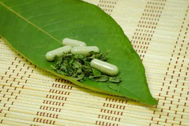 How Much Kratom Should I Take In 2022?