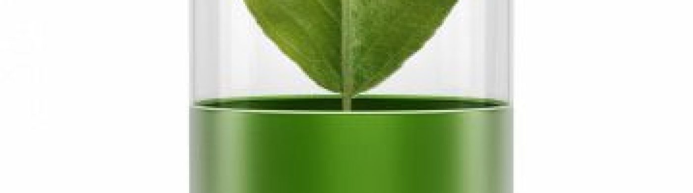 Kratom extracts Kratom extracts